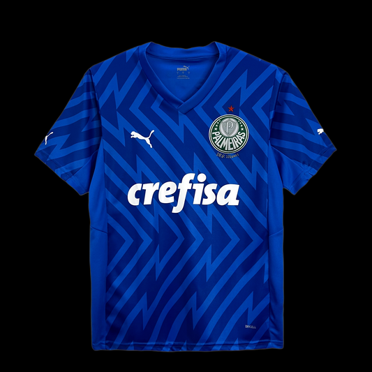 Camisa do Palmeiras (Goleiro) 24/25 R$149,90 - R$169,90